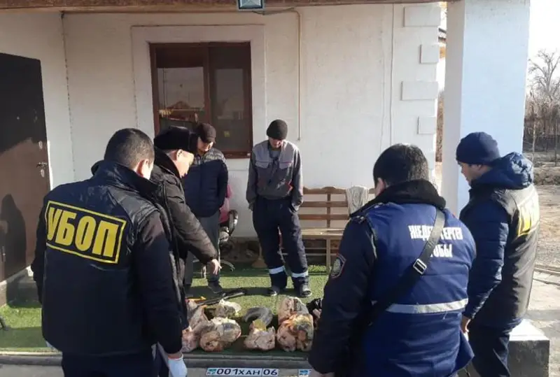 Запрещенную к вылову рыбу продавала жительница Атырау: изъято более 90 кг