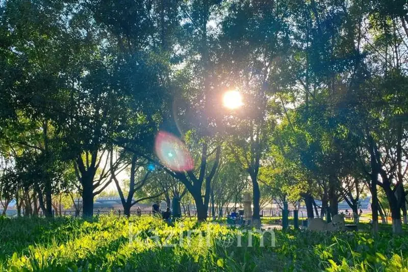 Жаркими будут последние дни лета в СКО