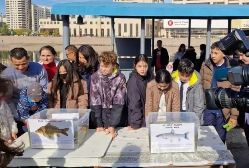 Astanada oqýshylar men turǵyndar Esilge balyq jiberý protsesin tamashalady