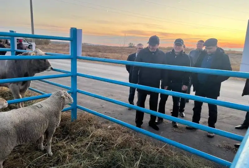 Казахстан планирует поставлять в Кыргызстан племенных животных