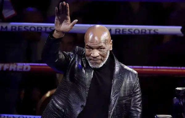 تايسون مەن دجونستىڭ جەكپە- جەگىندە نوكاۋتقا رۇقسات بەرىلەدى