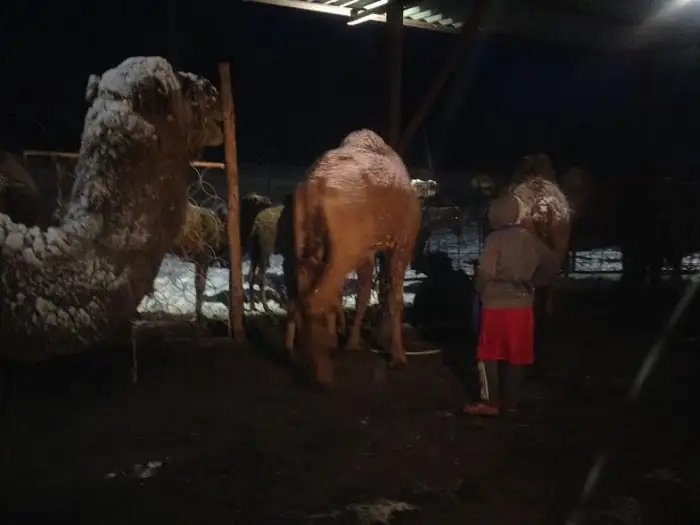 ^02ABACA057CEDCF7A331352B13EA4B6DF1E9FAF8D38C12B238^pimgpsh_fullsize_distr