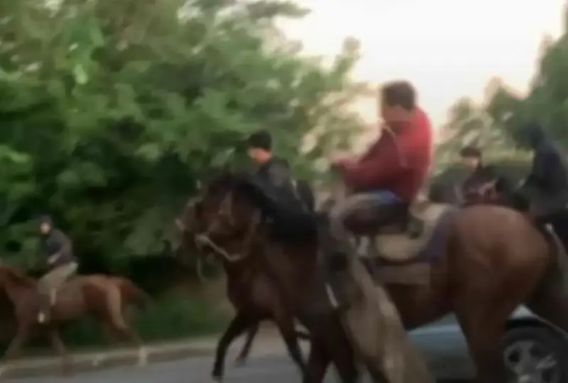 Участников хулиганского кокпара арестовали на 10 суток в Алматинской области