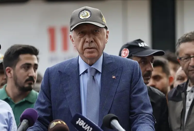 Ердоған орманға өрт қойғандарға жазаны күшейту идеясын қолдады
