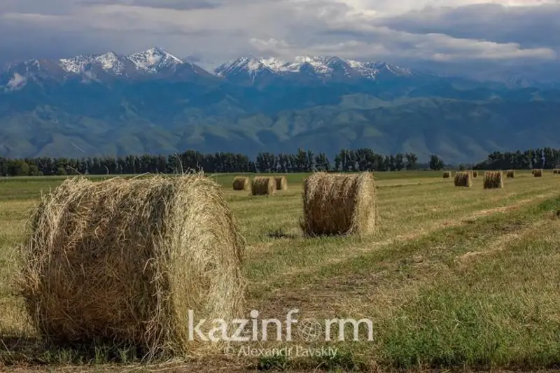 Благоприятные погодные условия способствуют успешной кормозаготовительной кампании – Ербол Карашукеев