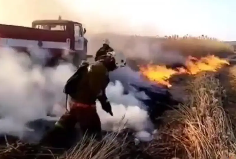 Shyǵys Qazaqstanda 10 gektarǵa jaıylǵan dala órti sóndirildi