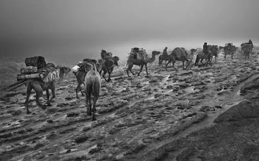 قىرىق جىگىت قىرعىنى