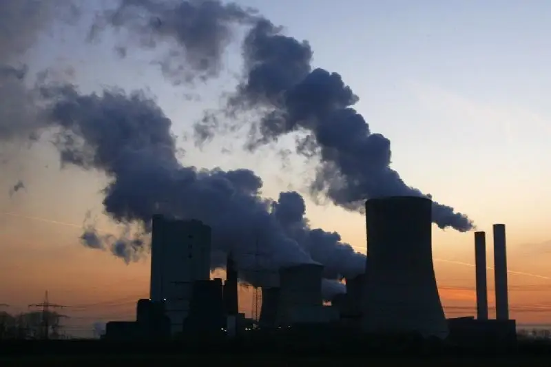 قورشاعان ورتانىڭ لاستانۋى يممۋنيتەتتى السىرەتەدى - زەرتتەۋ