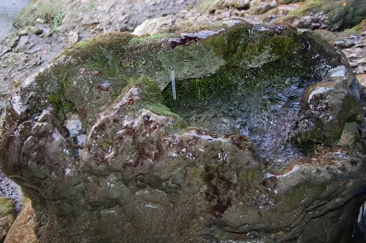 Оңтүстіктегі &laquo;Тамшы әулие&raquo; атауы қайдан шыққан