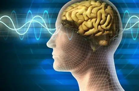 عالىمدار «ءبىلىمدى ميعا ءاپ- ساتتە جۇكتەۋگە» بولاتىن جولدى تاپتى