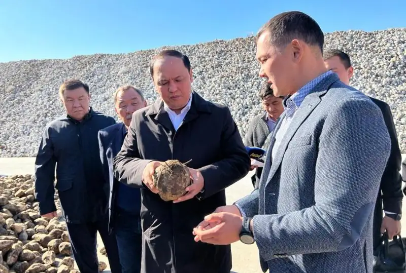 67 инвестпроектов в сфере АПК заработают в Жетысуской области