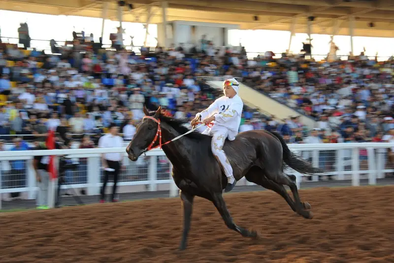 Нұрлан Ноғаев: Жас ұрпақ өз ұлттық ойындарын  білуі қажет