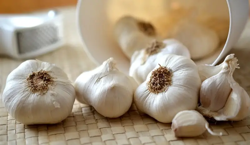 ۋسارىمساقتىڭ دەنساۋلىققا پايداسى