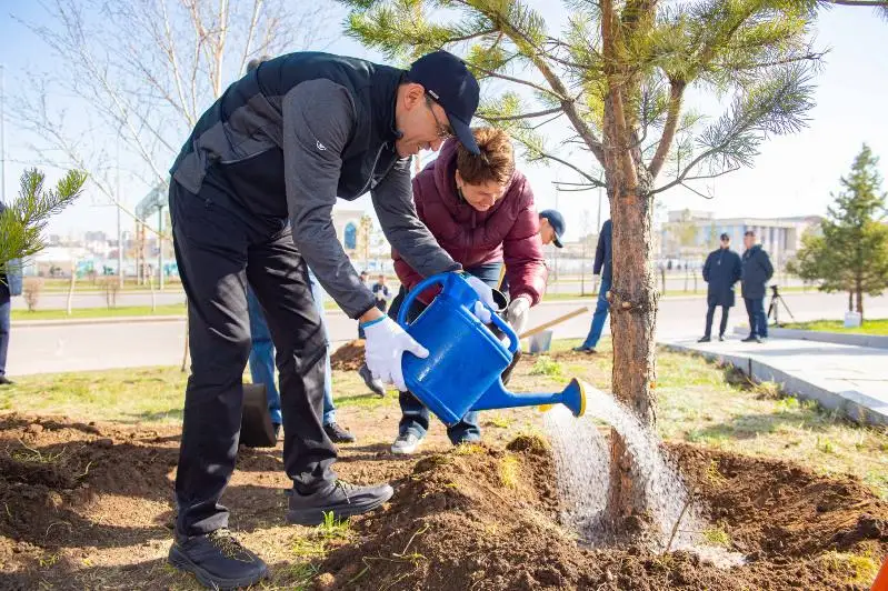 Сенаторы приняли участие в традиционном субботнике