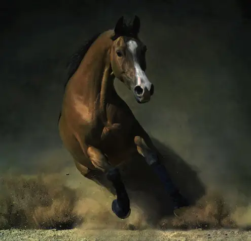 قازاق تاريحىنداعى باتىرلار مىنگەن سايگۇلىك اتتار