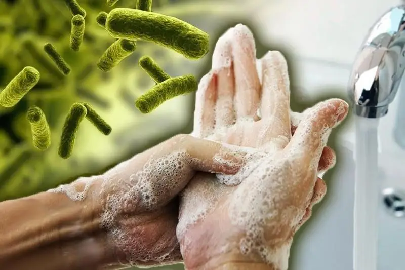 ىشەك ينفەكسياسىنان قالاي ساقتانۋعا بولادى؟