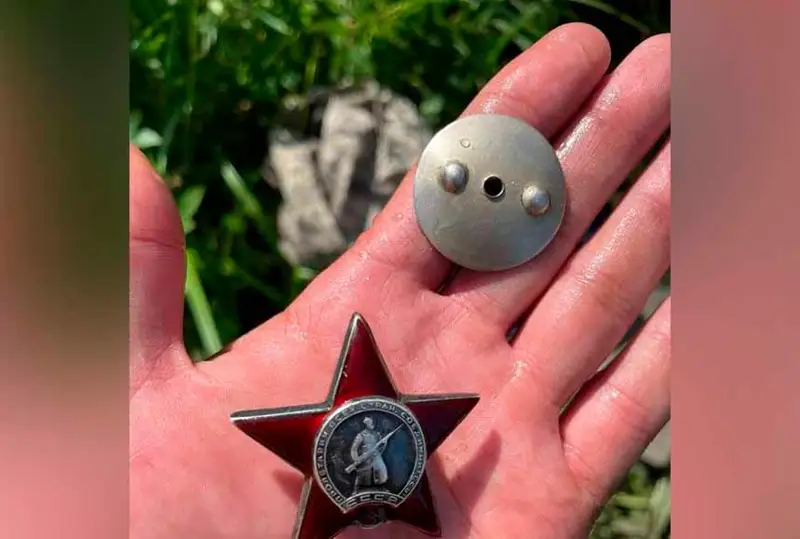 Павлодарские поисковики в Беларуси нашли останки павших в ВОВ воинов