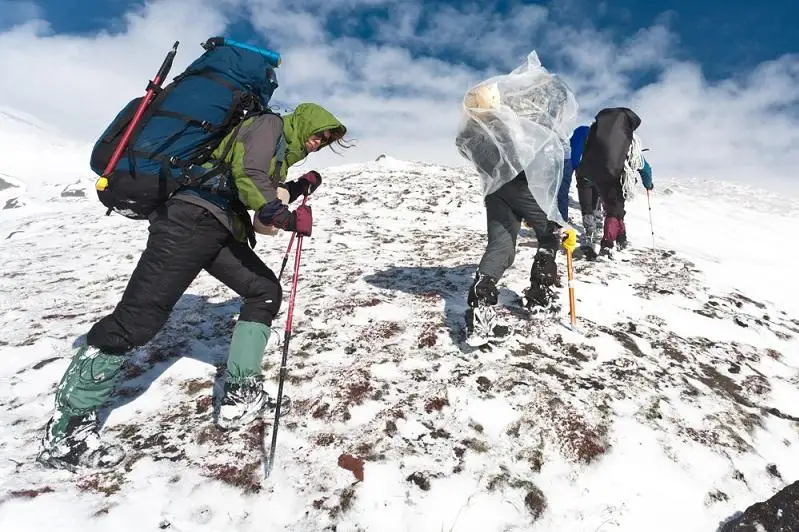 Не ставить машины под деревьями и не ходить в горы призвали алматинцев