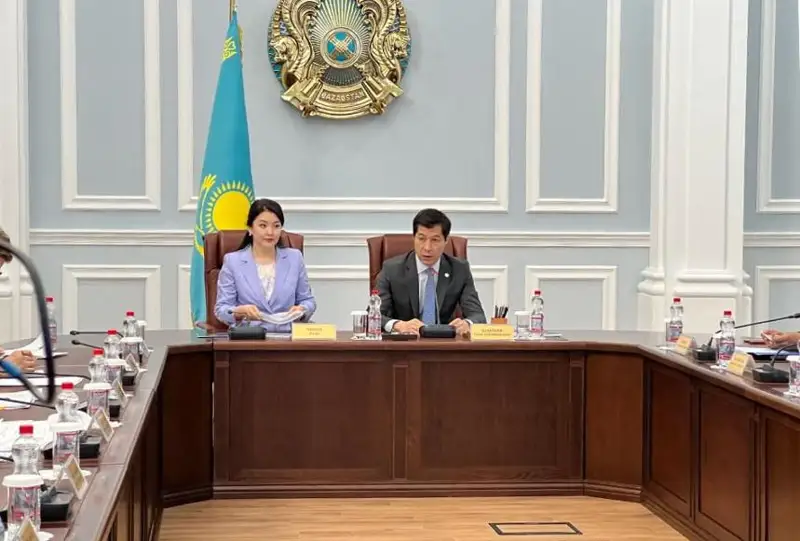 Необходимо усилить сельское звено здравоохранения - глава Минздрава РК