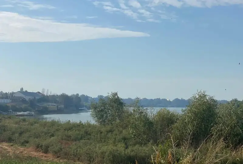 Запах гари от горящих тростников почувствовали жители Атырау