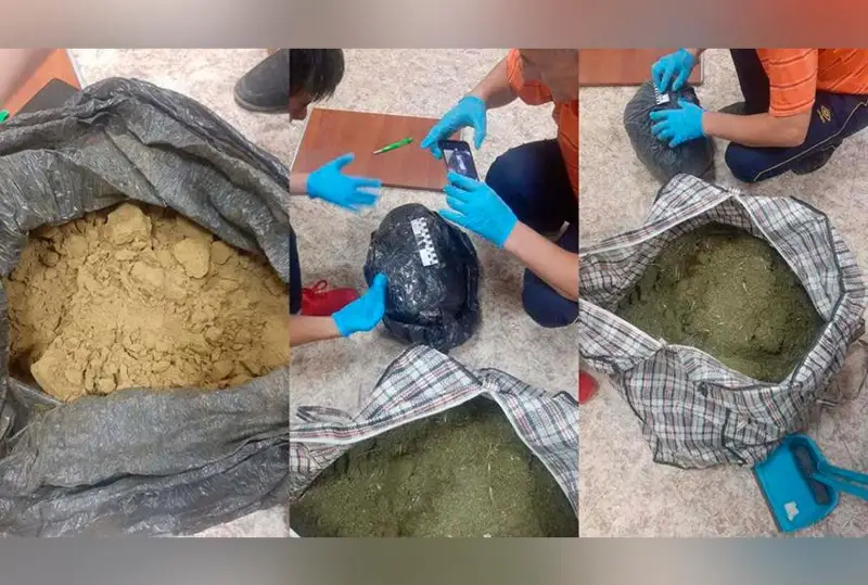 Канал поставки наркотиков пресекли в Костанайской области