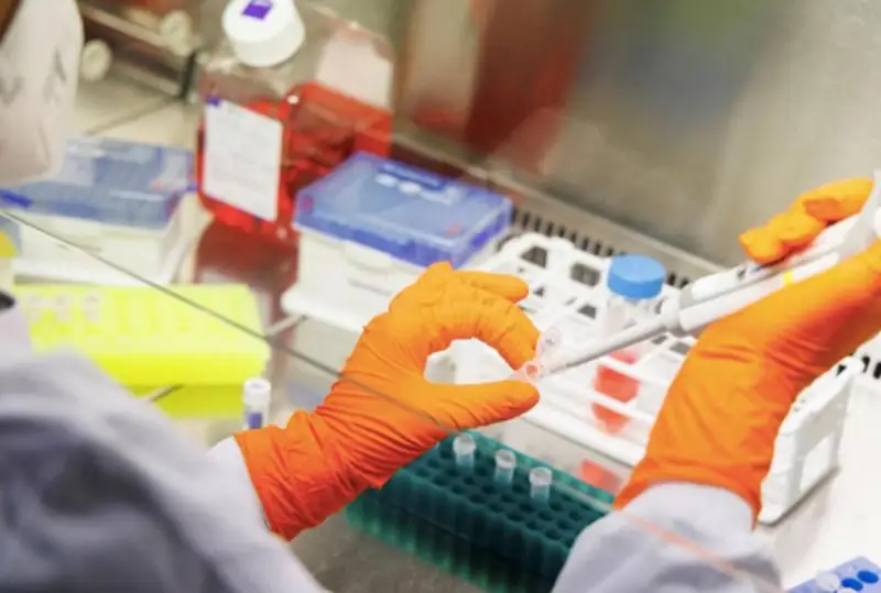 Методы быстрого тестирования на вирус оспы обезьян разработали в Китае