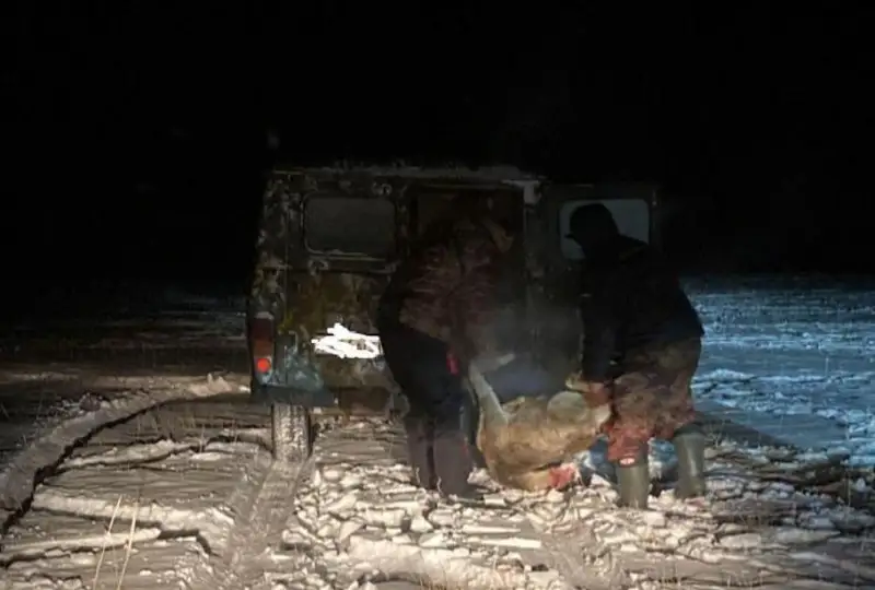 Подозреваемых в убийстве двух косуль задержали акмолинские полицейские