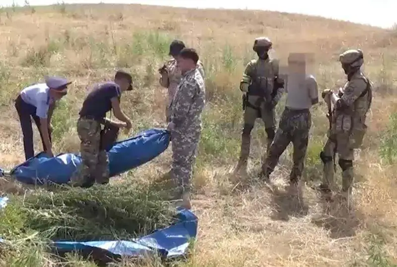 Полицейские изъяли 69 кг марихуаны у  жителя Жамбылской области