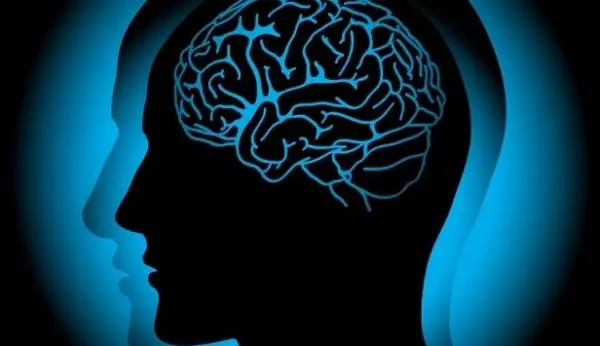 كوروناۆيرۋستىڭ ميعا قاۋپى انىقتالدى