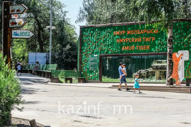 Almaty zoobaǵynyń burynǵy dırektory eki jolbarystyń nege satylǵanyn túsindirdi