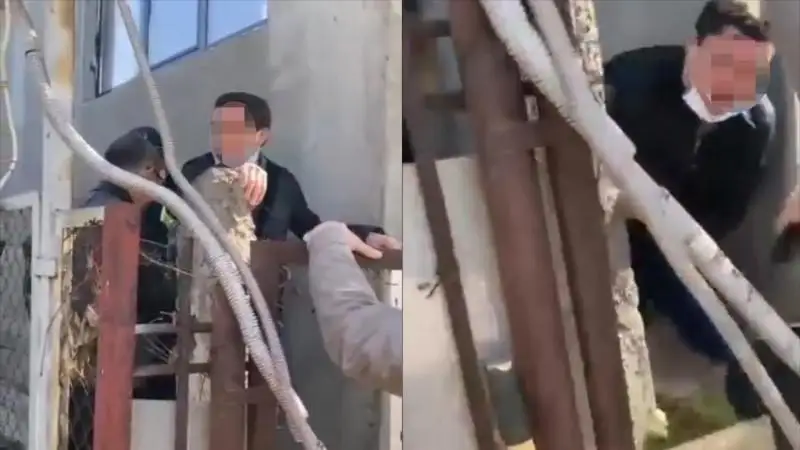 الماتىدا زاڭسىز نىساندى ءسۇرۋ كەزىندە سوت ورىنداۋشىسى سوققى كورگەن - ۆيدەو