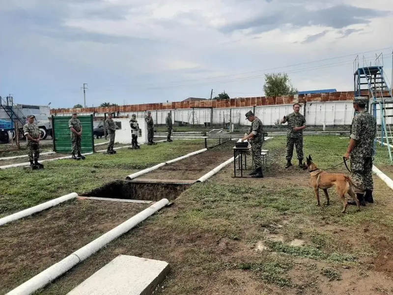 Лучшим кинологом стал военнослужащий из Темиртау