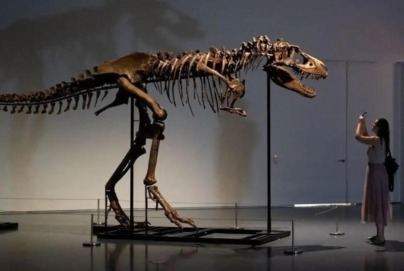 Скелет древнего динозавра продан на аукционе за 6 млн долларов