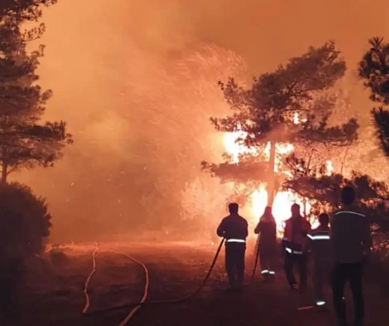 Крупный пожар тушат в одном из курортных регионов Турции