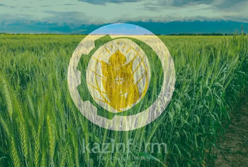 Islam yntymaqtastyǵy uıymy elderi azyq-túlik qaýipsizdigin saqtaý qandaı shara jasamaq