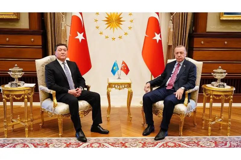 اسقار مامين تۇركيا پرەزيدەنتى رەجەپ ەردوعانمەن كەزدەستى