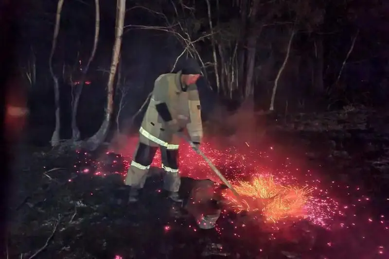Около 200 огнеборцев тушили лесной пожар в Акмолинской области