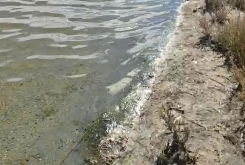 Проблему обмеления озера Караколь прокомментировали в Минэкологии