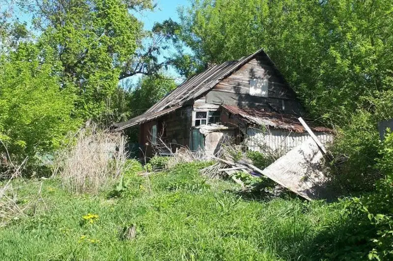 Бесхозные дачные участки бесплатно передадут жителям СКО