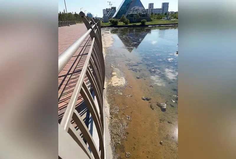 «Обмеление» водоема в Ботаническом саду объяснили в столичном акимате