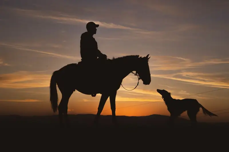 يتبەگىلىك - بابادان قالعان اسىل مۇرا