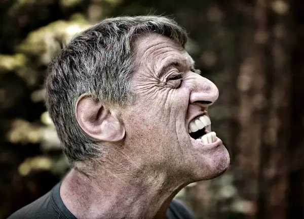 ادامداردىڭ مىنەزىن ءاجىمى ارقىلى تانىڭىز