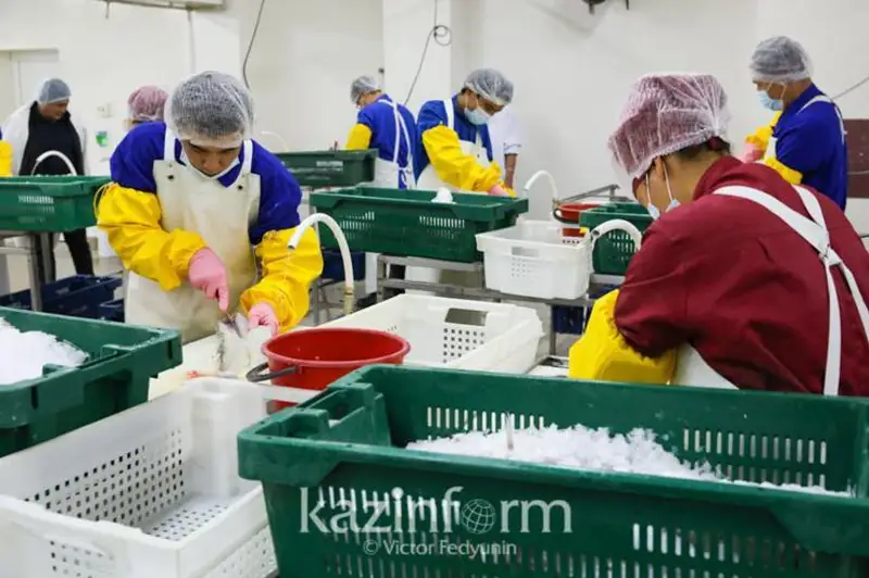 Продукции на 1 трлн тенге произвели костанайские промпредприятия с начала года