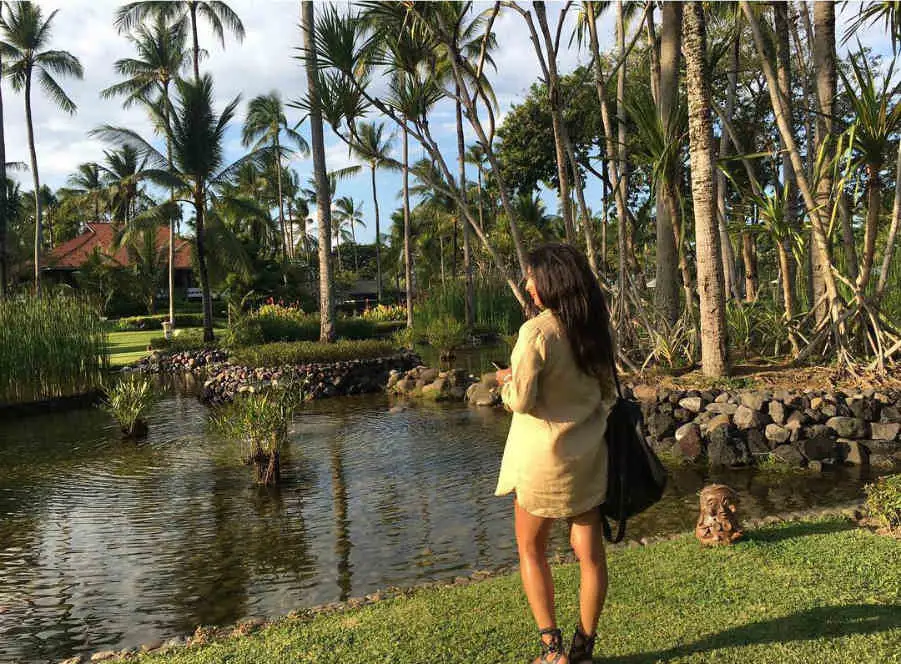 13712225_153271565105717_1009083980_n