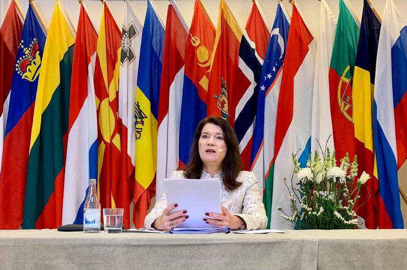 Basic priorities of Swedish Chairpersonship presented in OSCE in Vienna