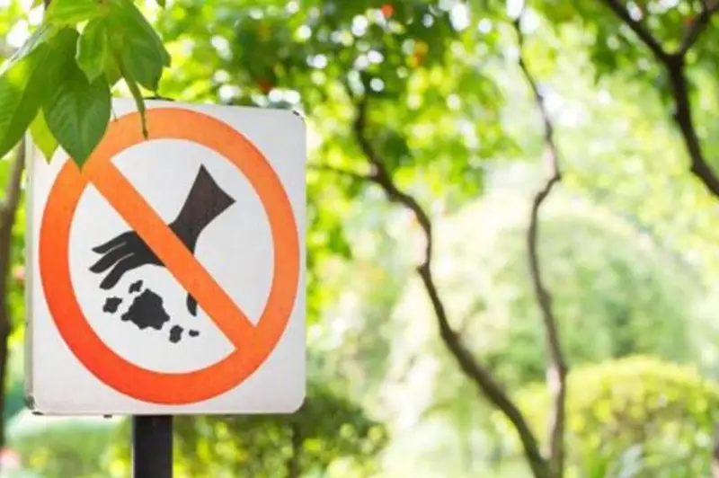 Жалобы по эконарушениям могут подать жители столицы онлайн