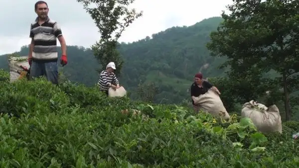 الەمدە قانداي تاۋارلار قىمباتتايدى؟
