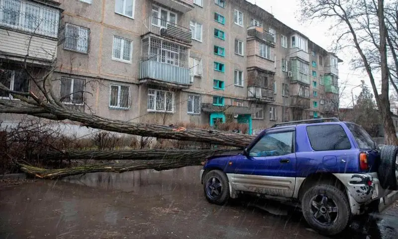 Алматыдағы дауыл: құлаған ағаштар автокөліктерді қиратты