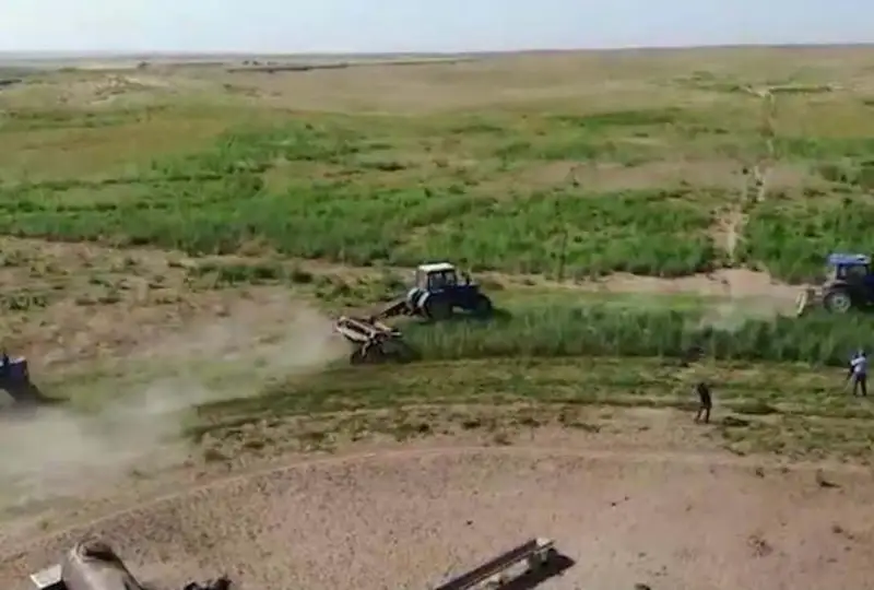 Более 23 тонн конопли уничтожили полицейские в Жамбылской области