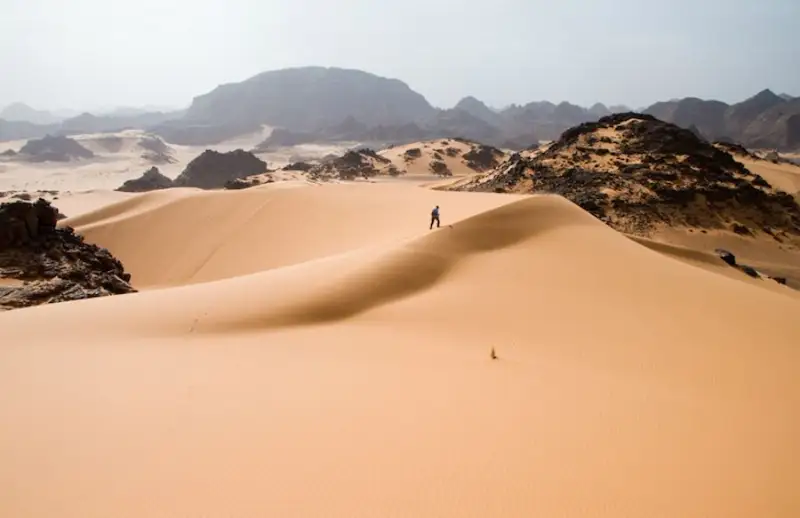 ساحارا شولىندە ءجۇز ميلليونداعان اعاش بار ەكەندىگى انىقتالدى